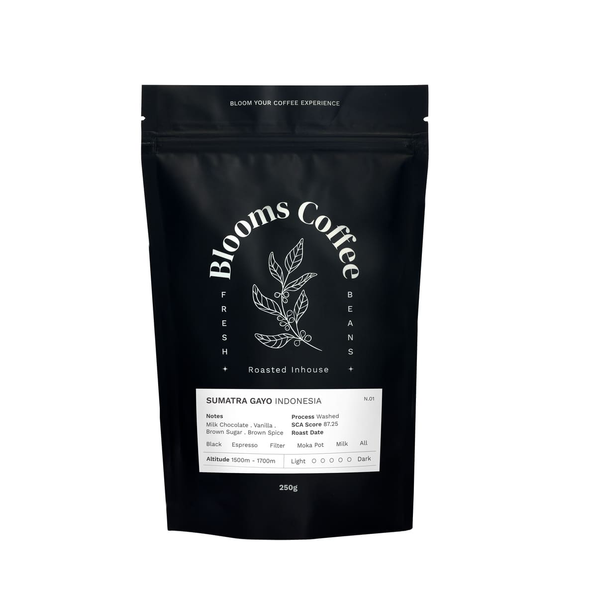 INDONESIA SUMATRA GAYO WASHED