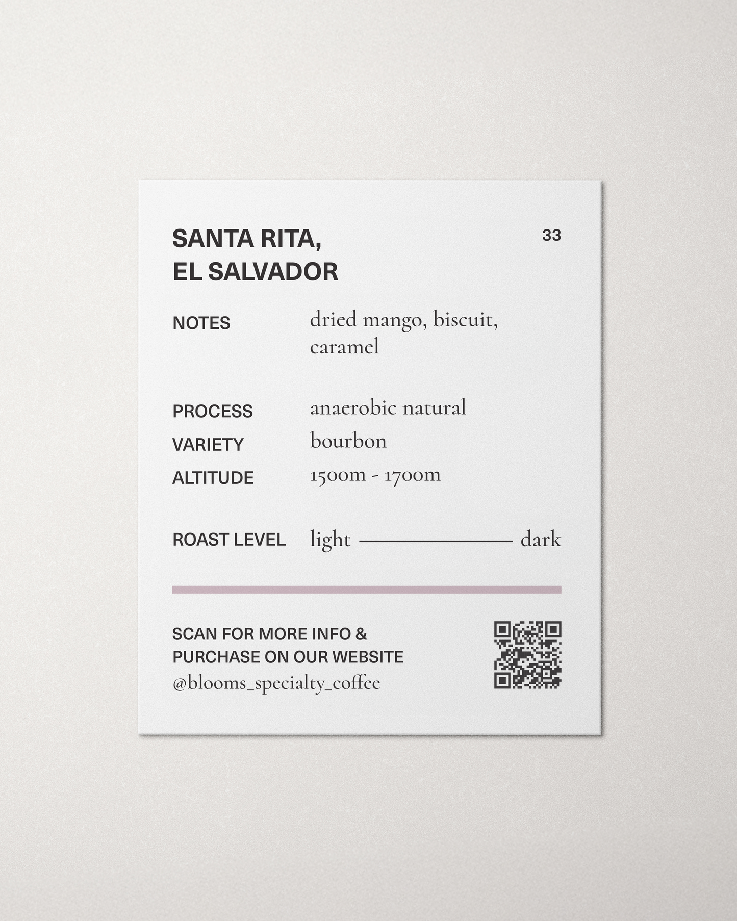 סנטה ריטה אל סלבדור El Salvador