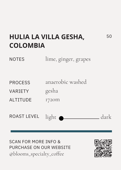 Colombia Gesha Anaerobic Washed – Huila, Isnos, La Villa קלומביה איסנוס גיישה אנירובי שטוף