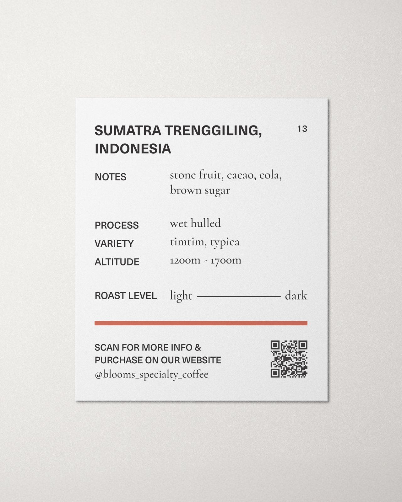 INDONESIA SUMATRA TRENGGELING WET HULED אינדונזיה סומטרה