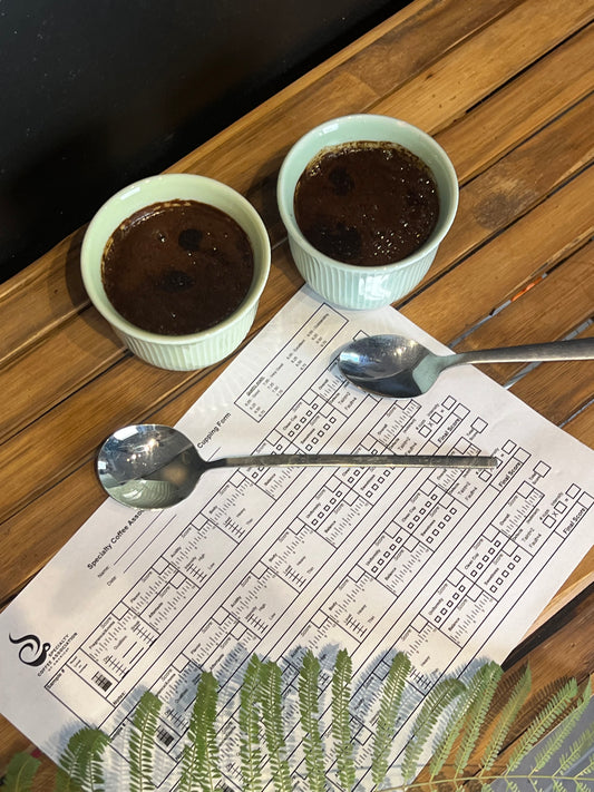 sca official cupping form