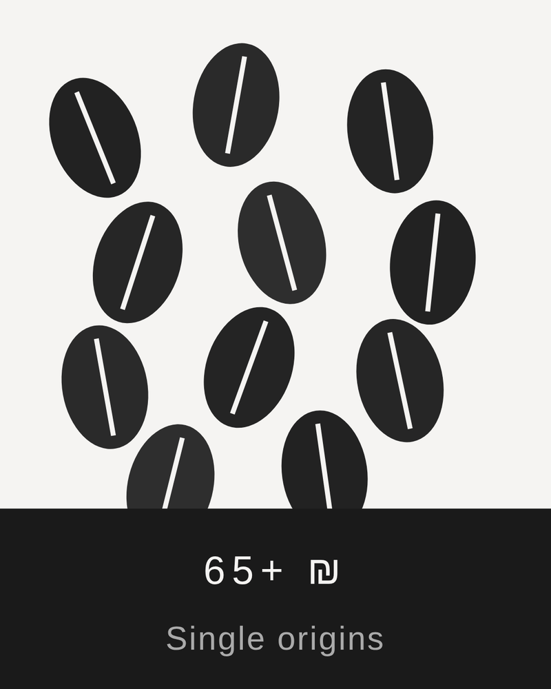 ₪65+