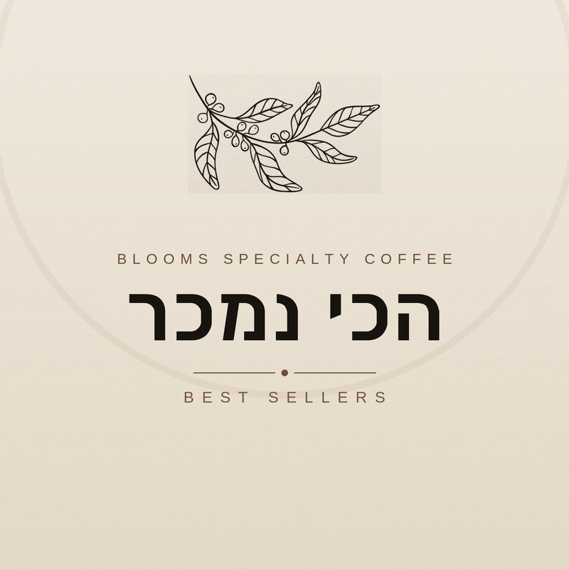 Best Seller List הכי נמכר