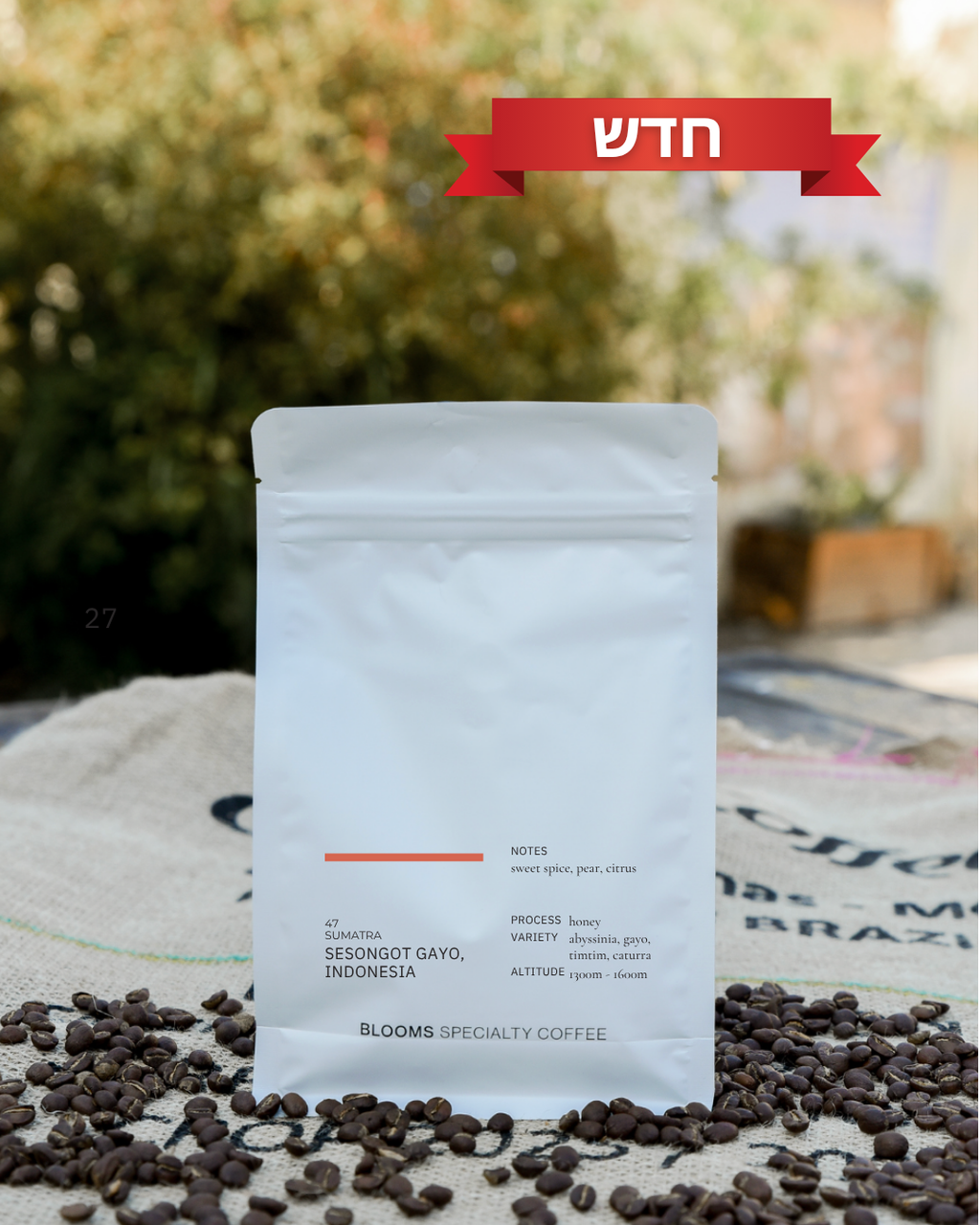 Sumatra Sesongot Gayo - Anaerobic Honey  סומטרה אינדונזיה אנירובי האני