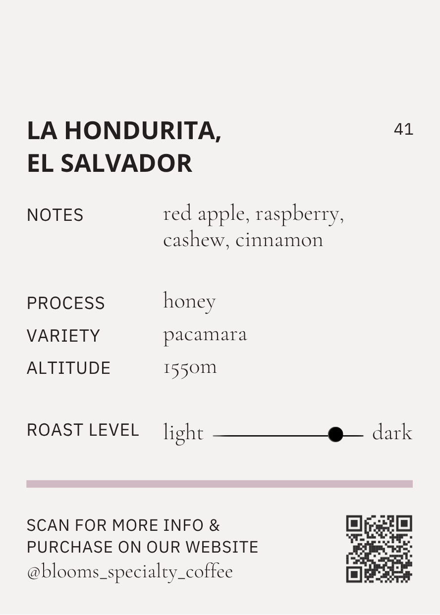 La Hondurita, El Salvador אל סלבדור