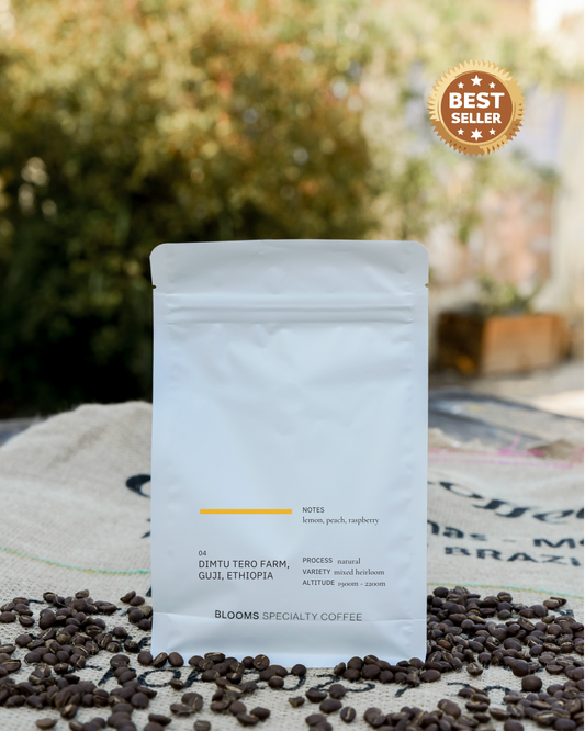 ETHIOPIA GUJI DIMTU TERO FARM NATURAL אתיופיה גוג׳י