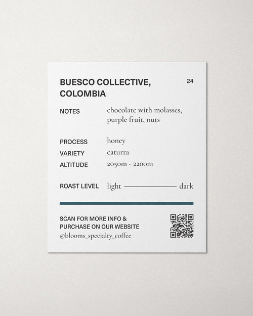 Buesco Collective, Colombia קולומביה