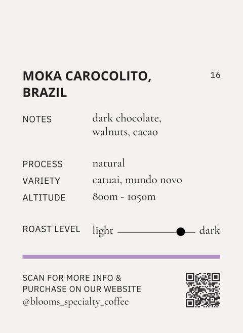 Moka carocolito, Brazil ברזיל מוקה קרוקוליטו