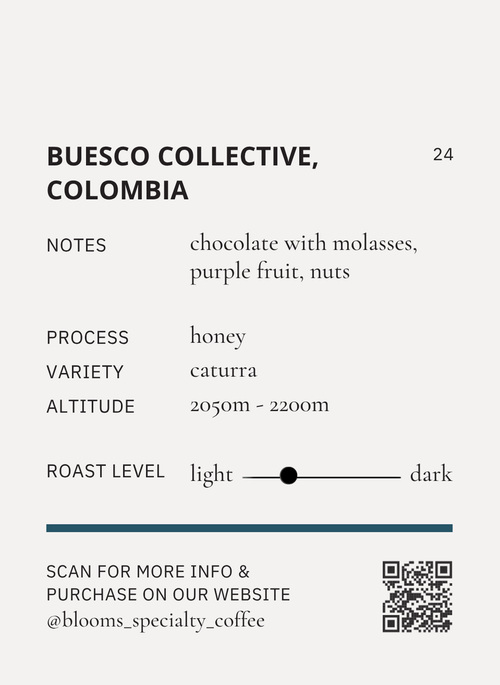 Buesco Collective, Colombia קולומביה