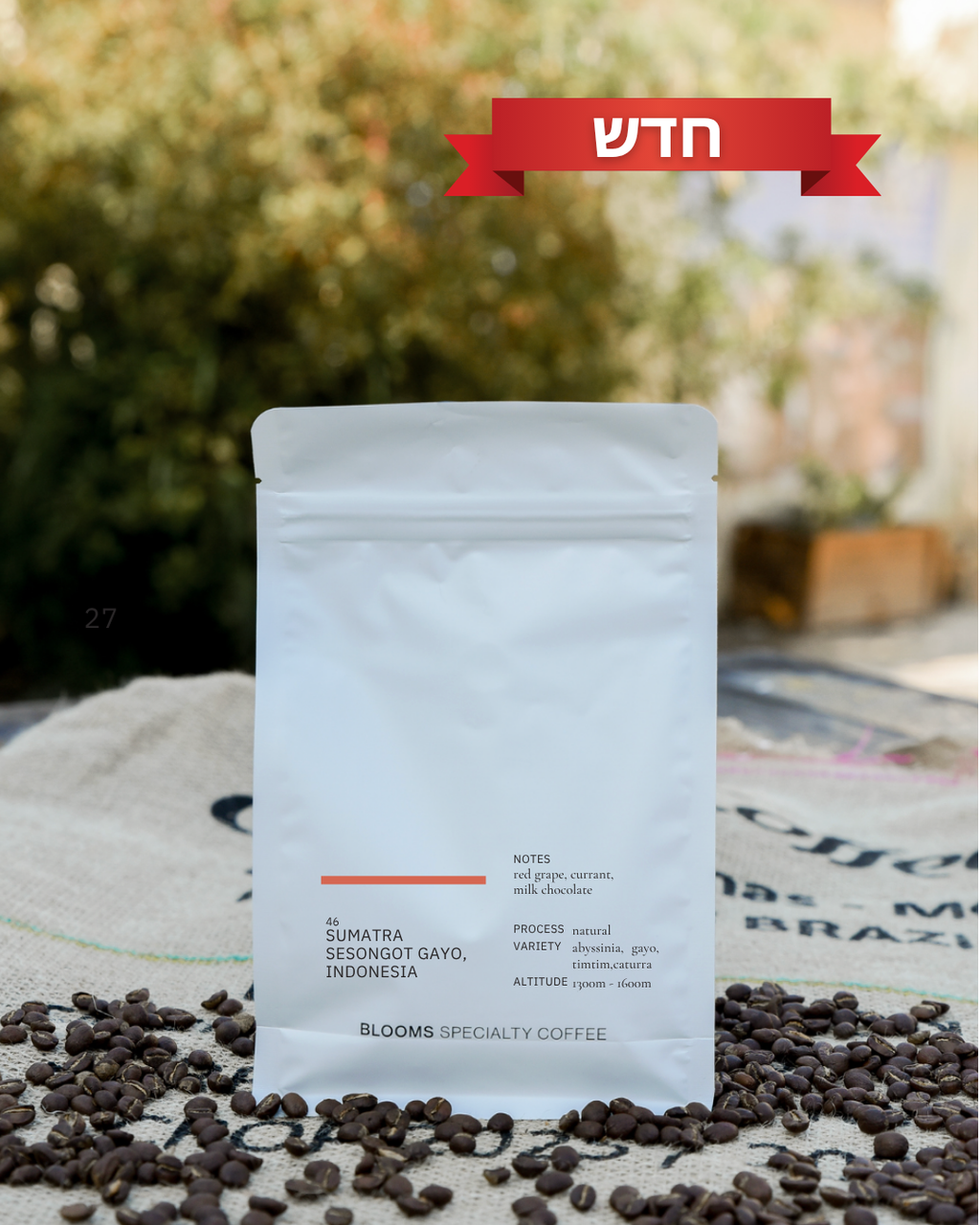 Sumatra Sesongot Gayo - Natural סומטרה אינדונזיה נטורל