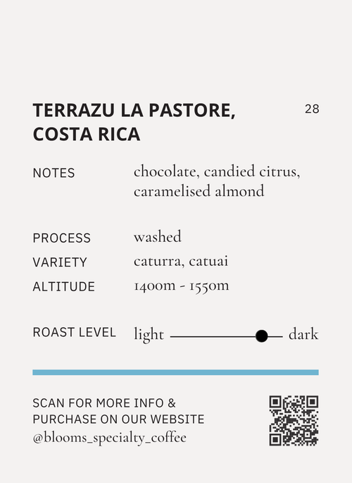 Costa Rica La pastore קוסטה ריקה