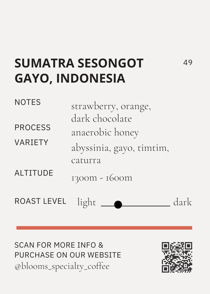 Sumatra Sesongot Gayo - Anaerobic Honey  סומטרה אינדונזיה אנירובי האני