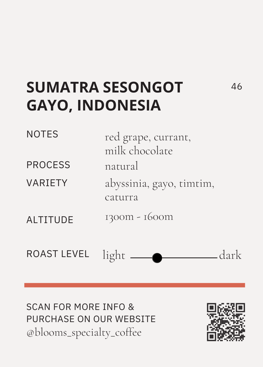 מארז סומטרה ססונגוט גאיו Sumatra Sesongot Gayo Package