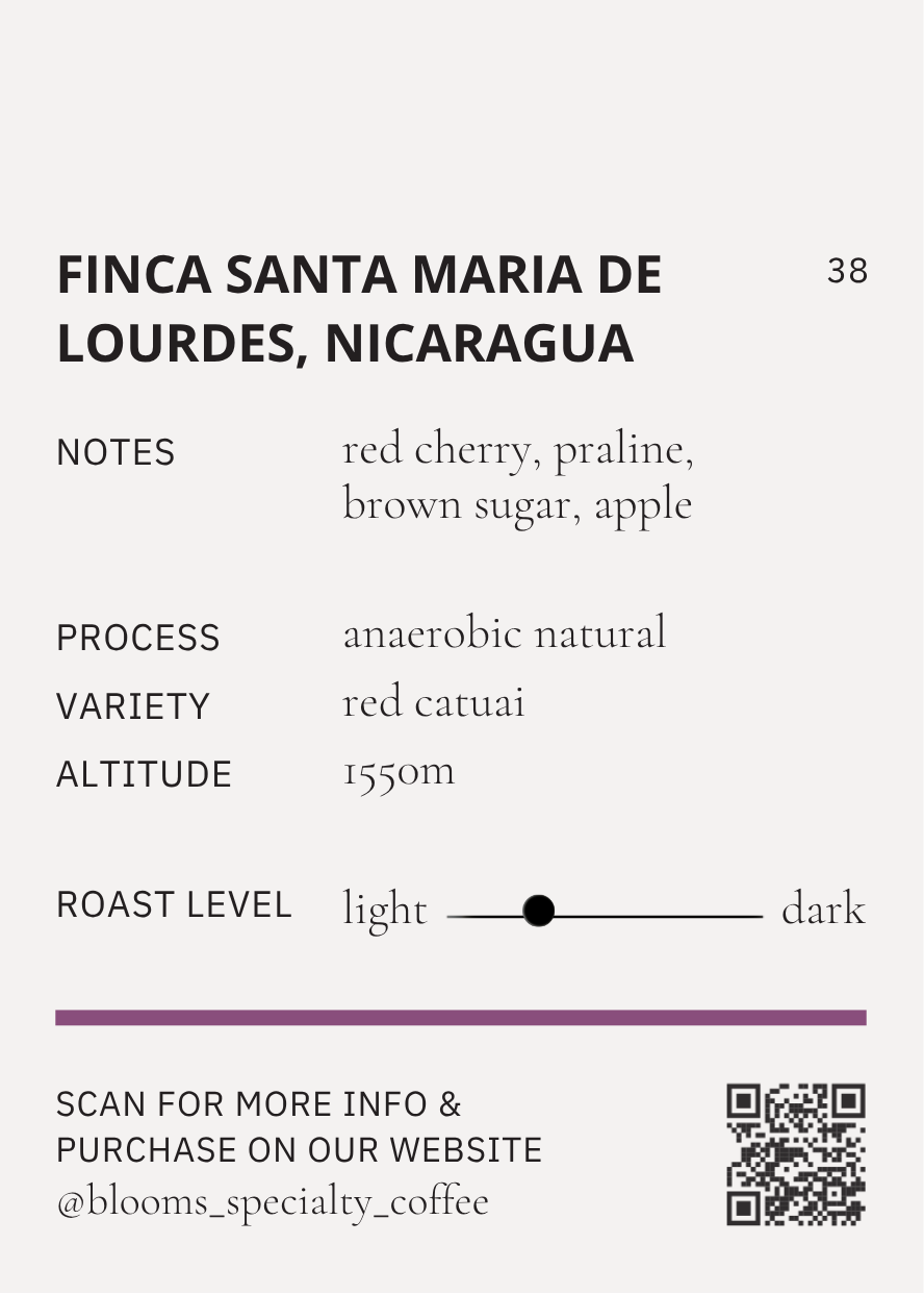 Finca Santa Maria de Lourdes, Nicaragua ניקרגואה