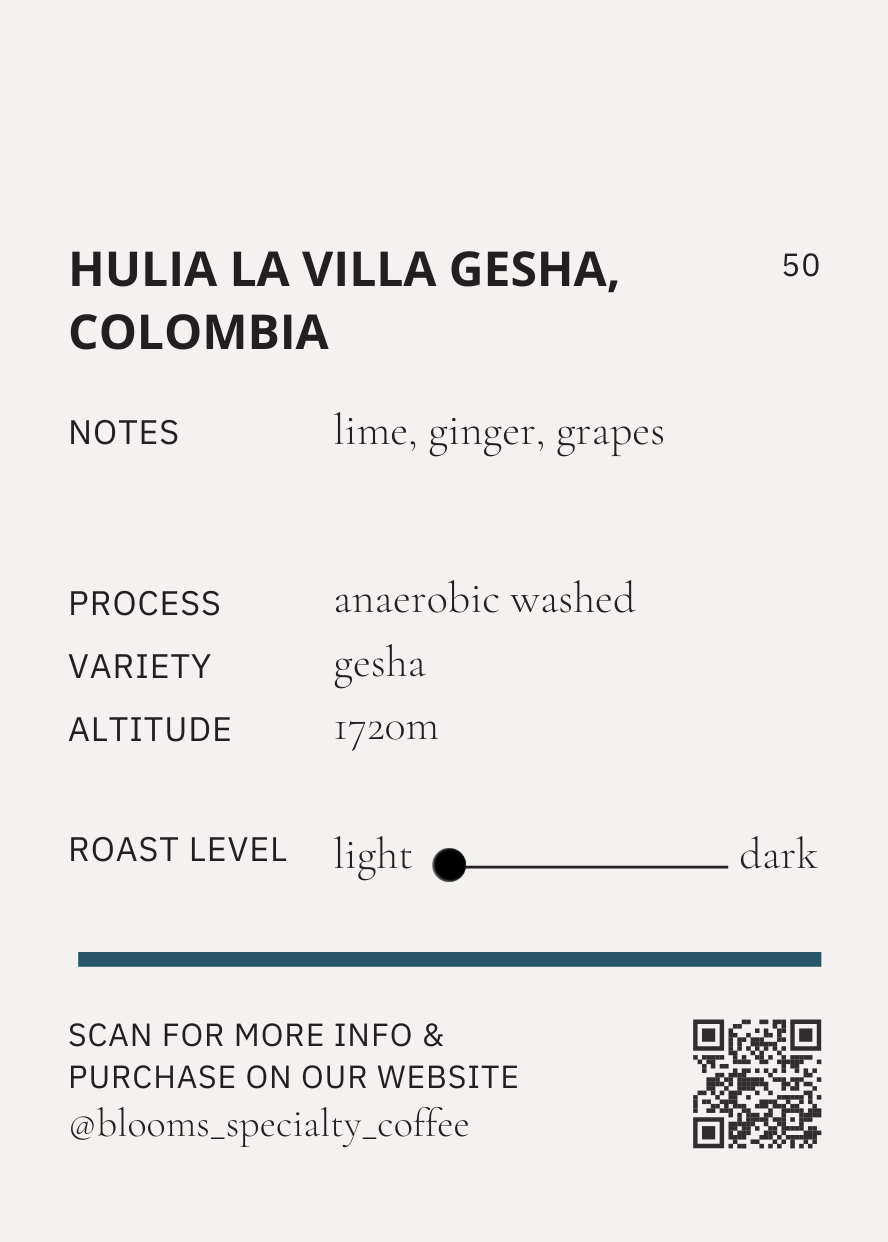 Colombia Gesha Anaerobic Washed – Huila, Isnos, La Villa קלומביה איסנוס גיישה אנירובי שטוף