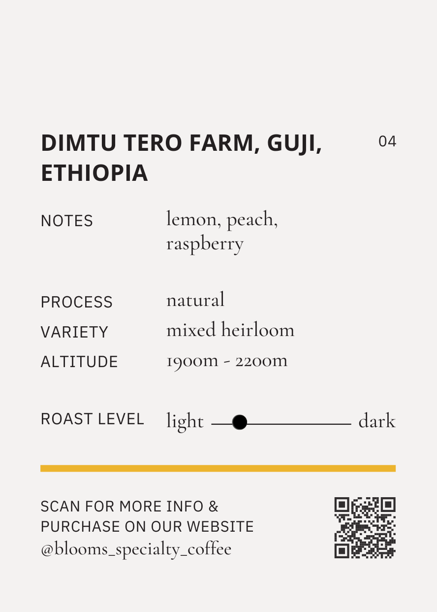 ETHIOPIA GUJI DIMTU TERO FARM NATURAL אתיופיה גוג׳י
