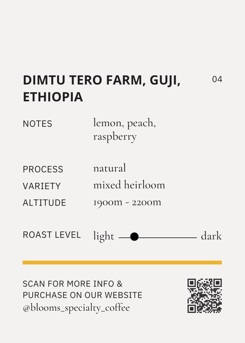 ETHIOPIA GUJI DIMTU TERO FARM NATURAL אתיופיה גוג׳י