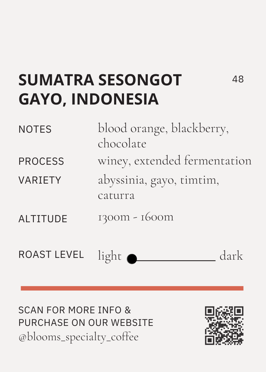 Sesongot Gayo - Winey Extended Fermentation סומטרה אינדונזיה ווייני יין