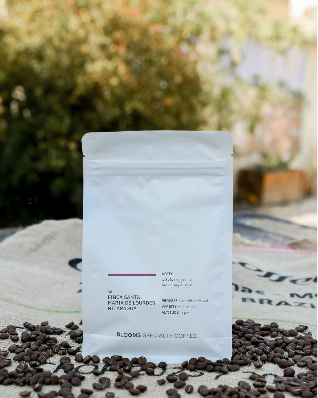 Finca Santa Maria de Lourdes, Nicaragua ניקרגואה