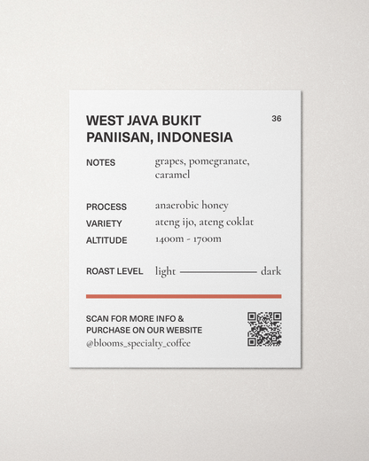 West Java Bukit Paniisan – Indonesia
	ג׳אווה אינדונזיה