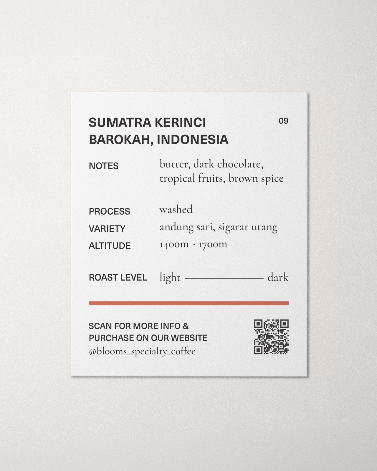 Sumatra kerinci barokah , Indonesia washed סומטרה קרינצי אינדונזיה