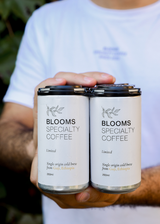 קפה בחליטה קרה - Cold Brew מחיר ל 24 פחיות 250 מ״ל